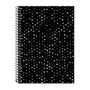 Caderno Colegial 1 Matéria Little Bear Poas Preto